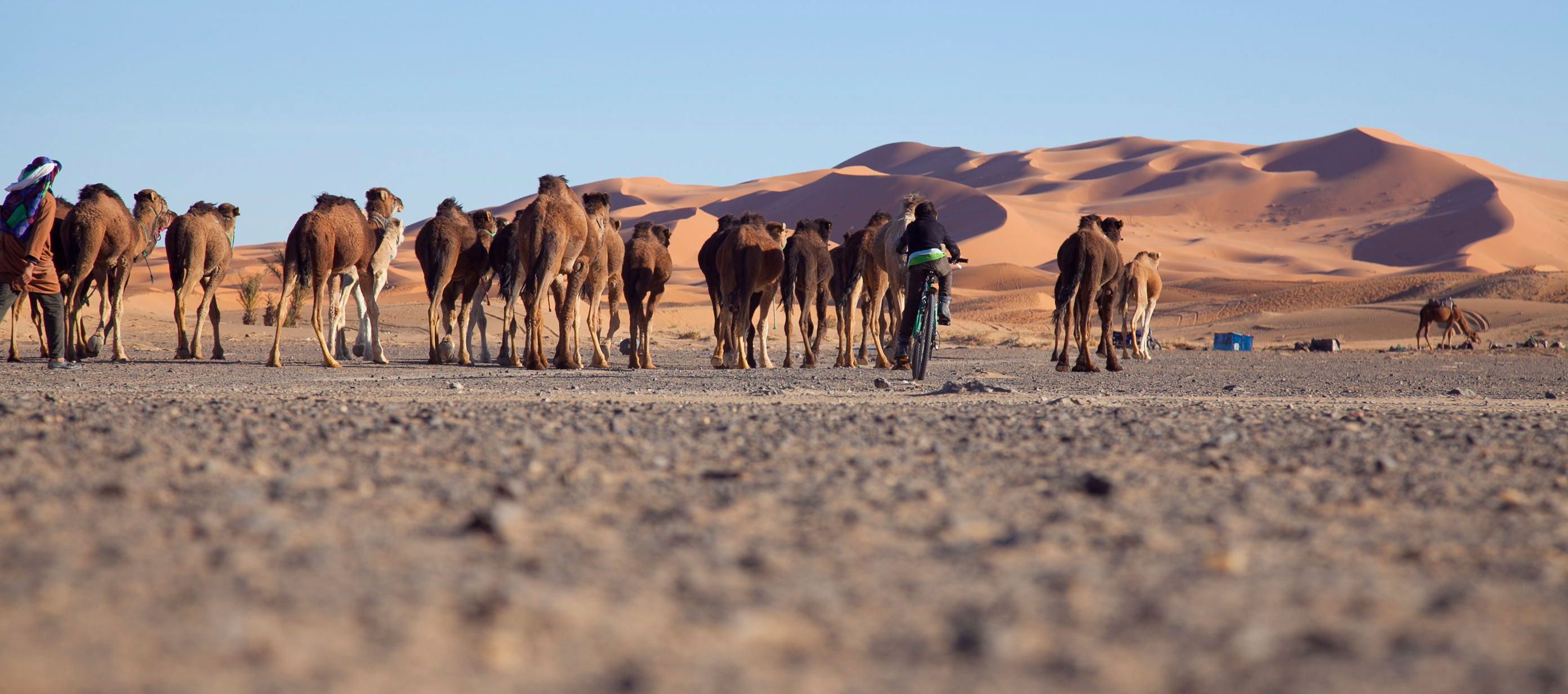 Día 3: Merzouga- Khamlia- nómadas-Campamento.