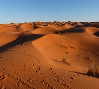 Morocco desert trips