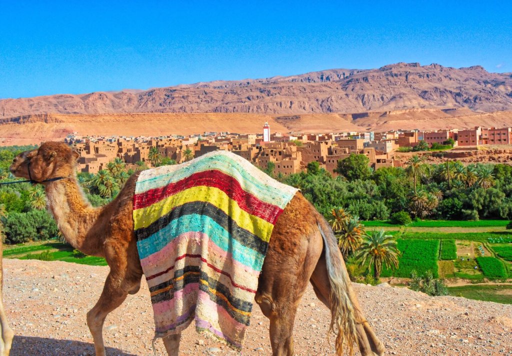 desde Marrakech al desierto