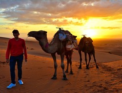 viaje al desierto desde fez