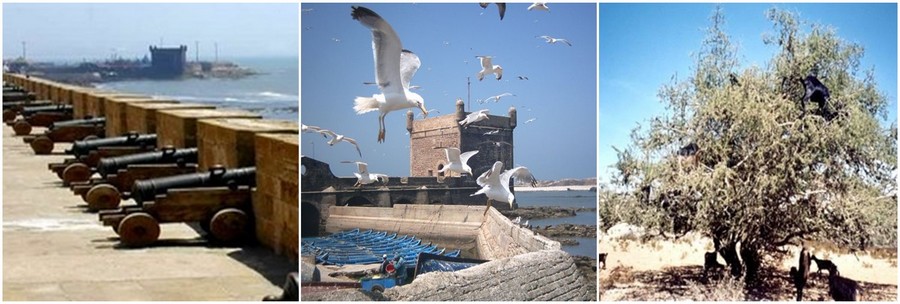 Excursion a Essaouira desde Marrakech