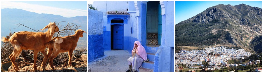 1 giorni da fes a chefchaouen