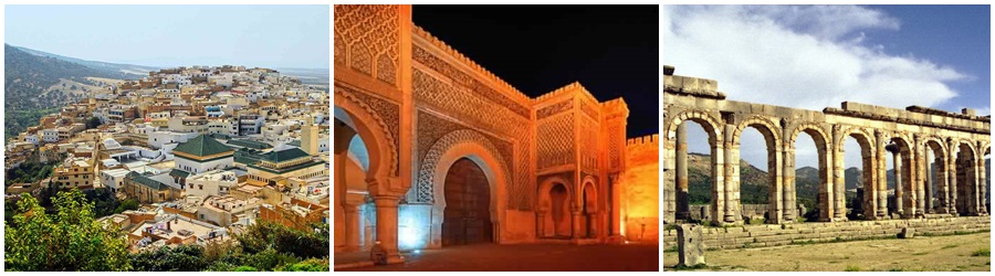Viaje de un día desde Fez a Meknes y Volubilis. 