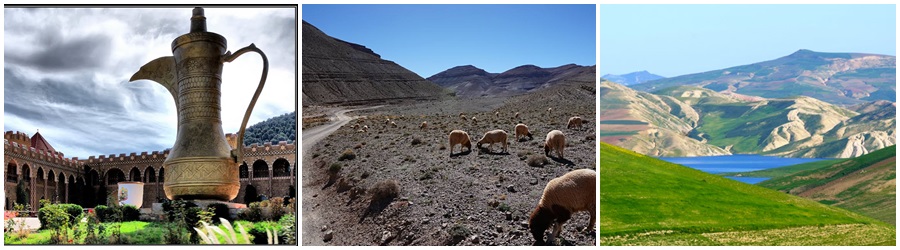 Excursión de un día desde Fez a Meknes y Volubilis