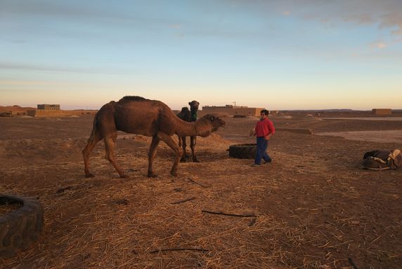 3 days tours from fez to Sahara desert. 