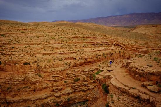 Excursión de 1 día desde Fez a las montañas del Atlas Medio