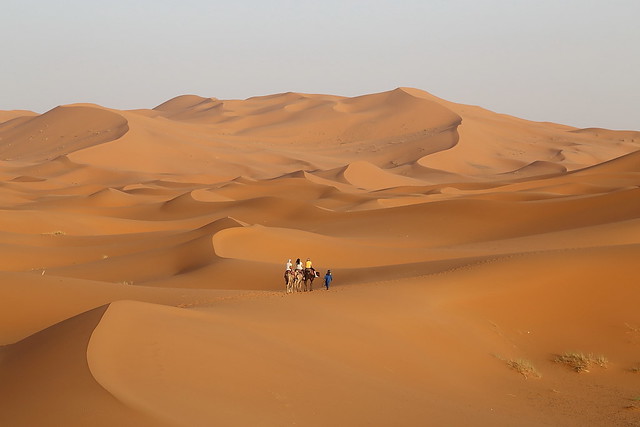 Esplorare le lingue ufficiali del Marocco: cosa devi sapere