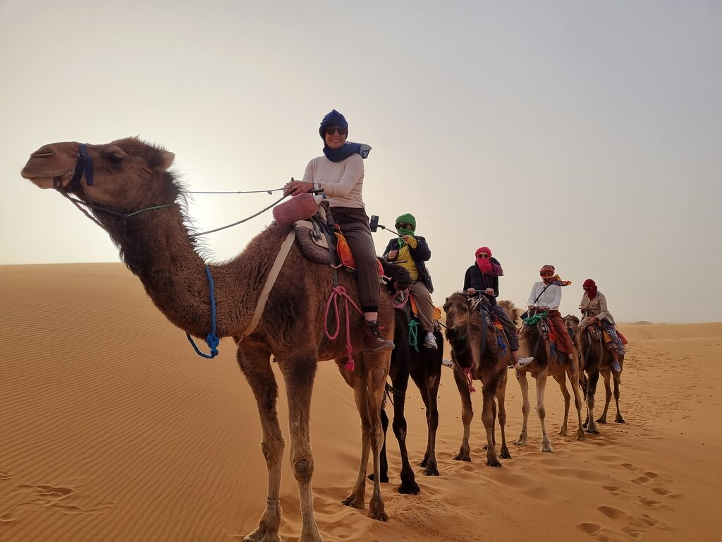 Camel Trekking in Merzouga