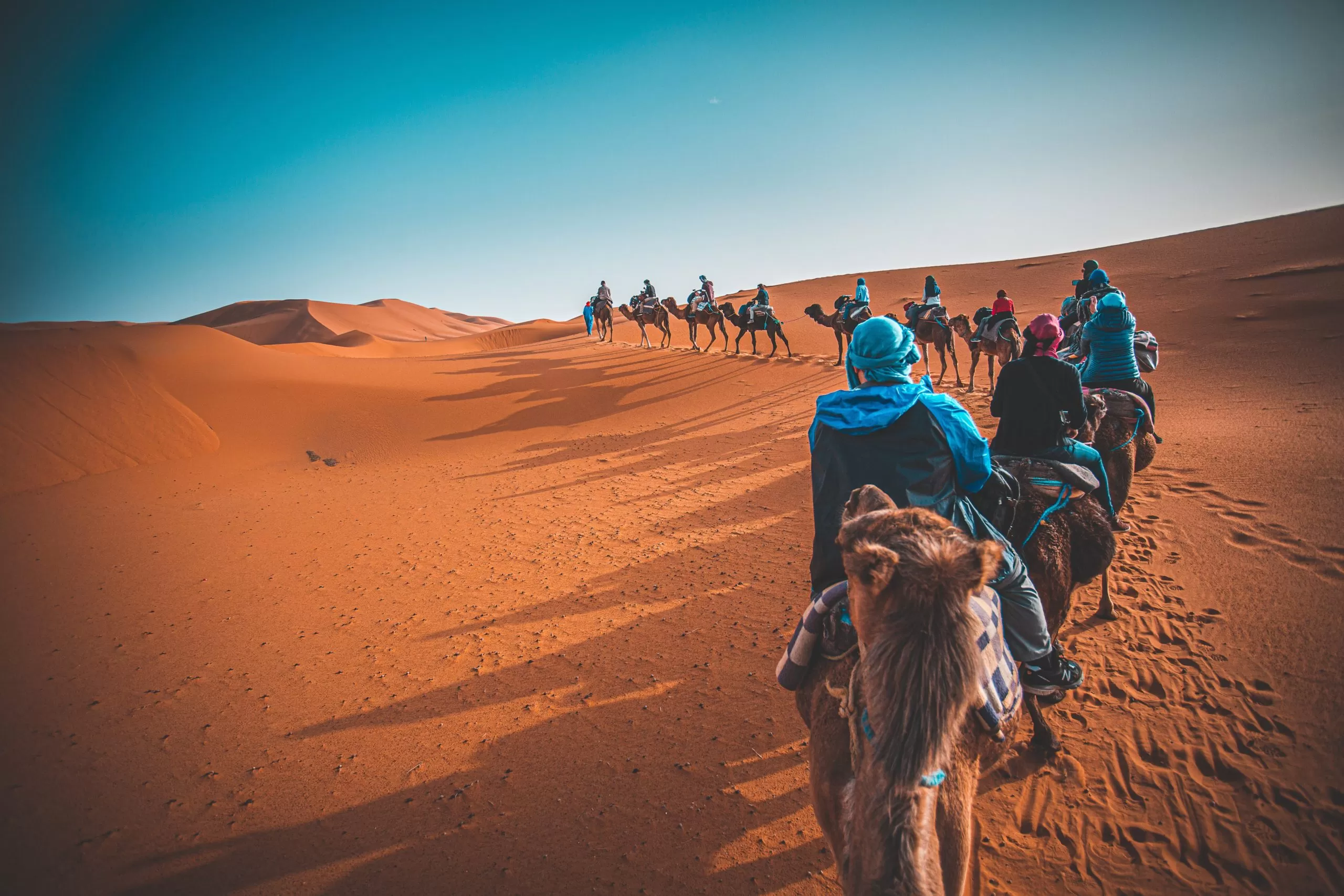 Morocco tours travel agency, Camel rides in desert, Marrakech camel trips