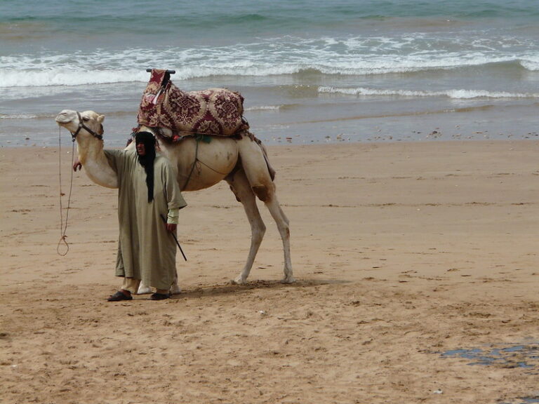 things to see and do in Agadir in one day