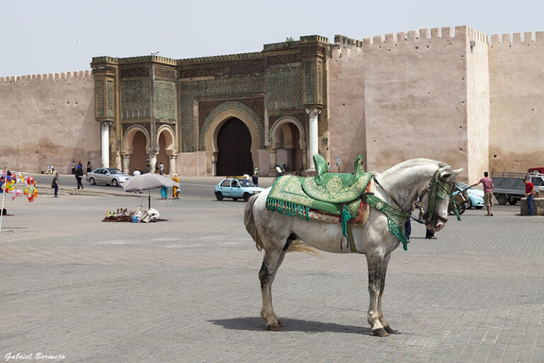 How to get from Fez to Meknes