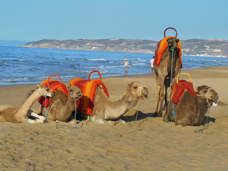 Things To Do In Saidia Morocco